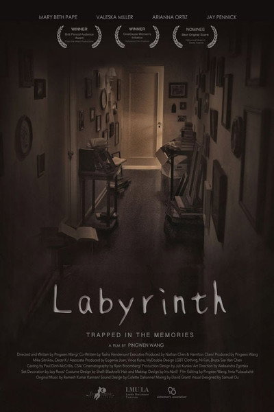 Póster de Labyrinth