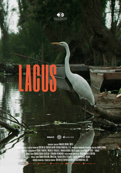 Póster de Lacus