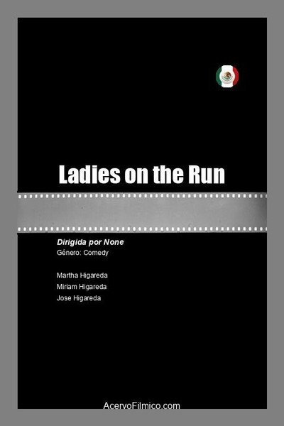 Póster de Ladies on the Run