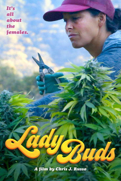 Póster de Lady Buds