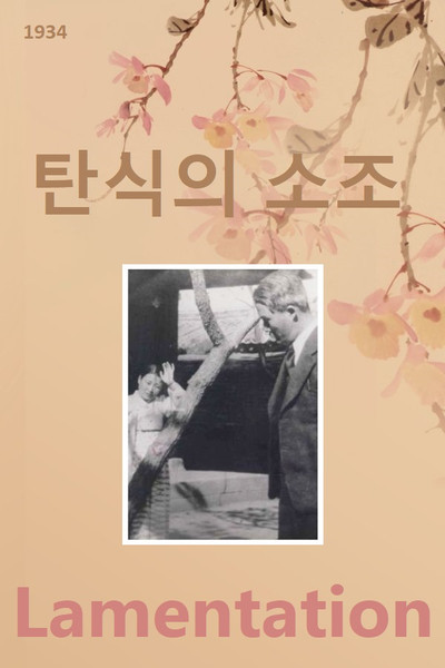 Póster de Lamentation