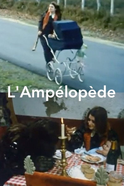Póster de L'ampélopède