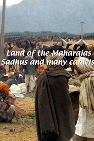 Póster de Land of the Maharajahs