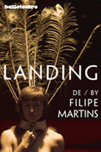 Póster de Landing