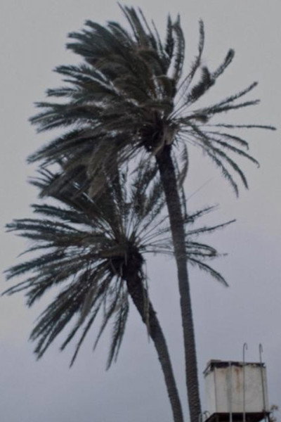 Póster de Landscape at Noon