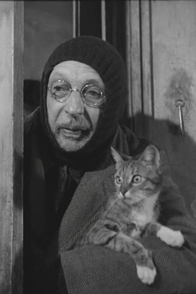 Póster de L'homme aux chats