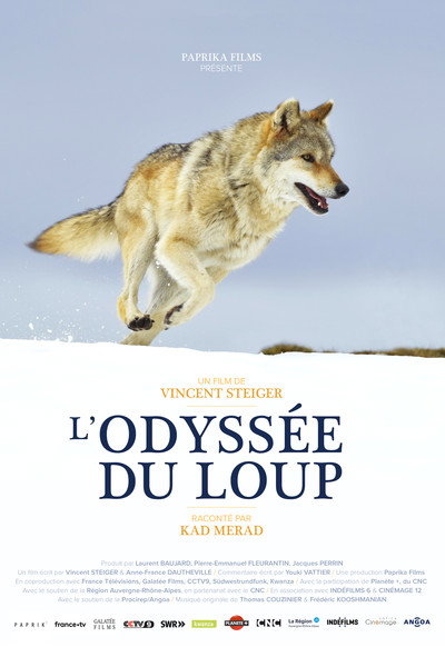 Póster de L'Odyssée du Loup