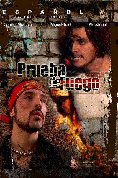 Póster de Las ladrilleras