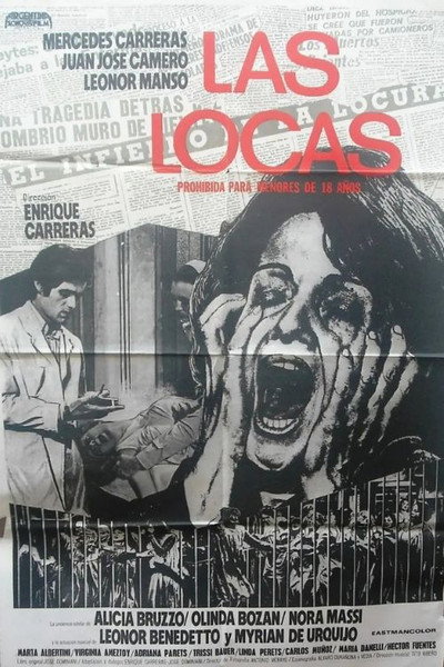 Póster de Las locas