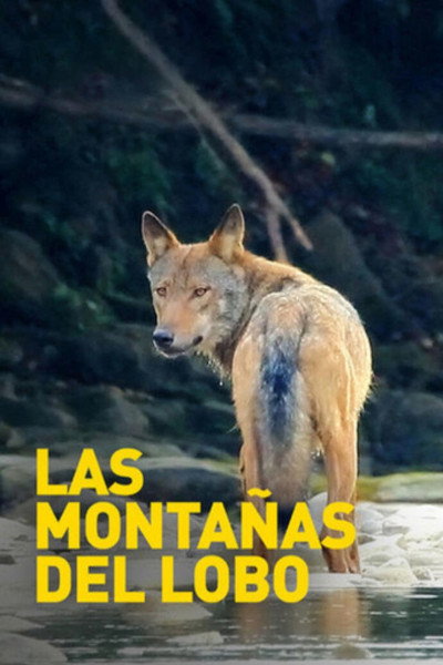 Póster de Las montañas del lobo
