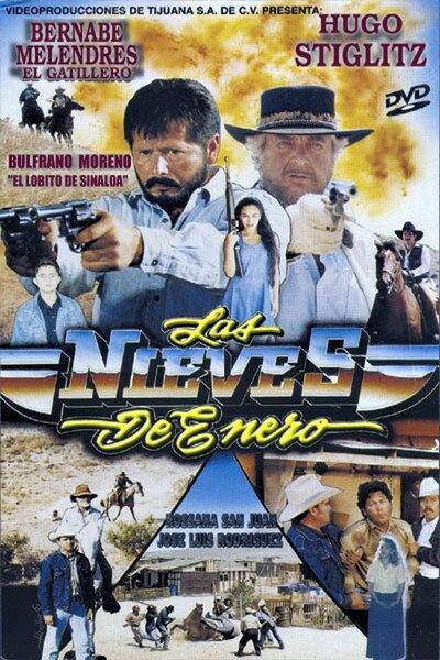 Póster de Las nieves de enero