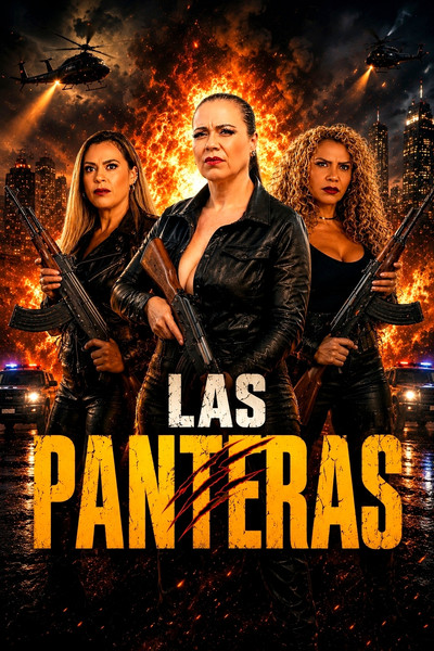 Póster de Las Panteras