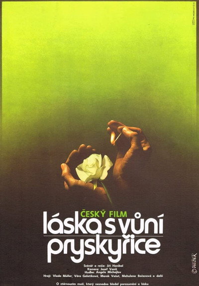 Póster de Láska s vuní pryskyrice