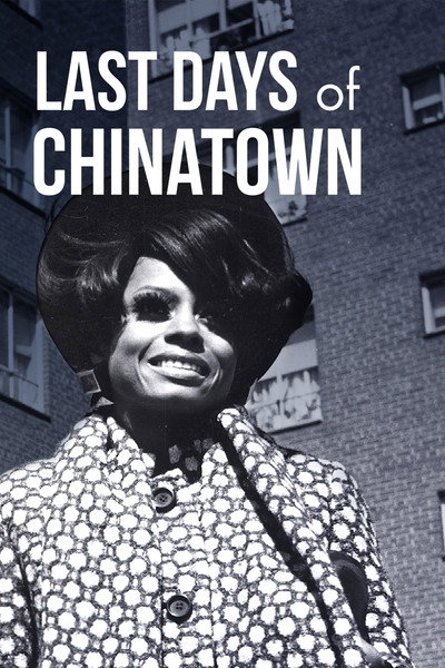 Póster de Last Days of Chinatown