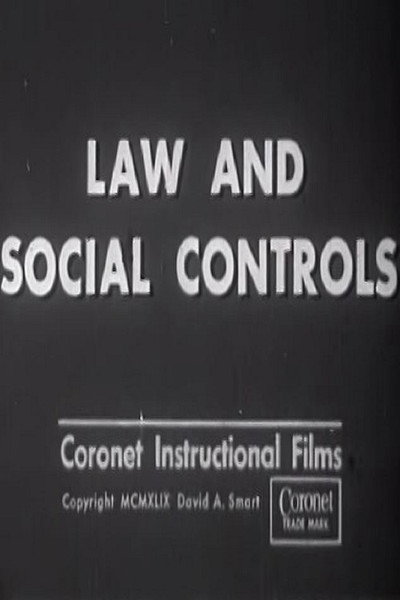 Póster de Law and Social Controls
