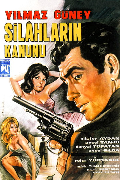 Póster de Law of the Guns