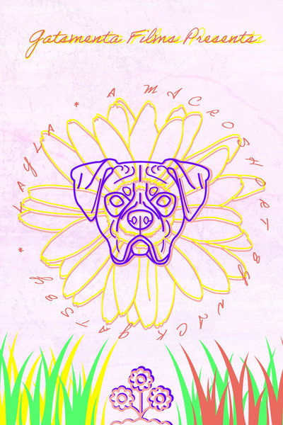 Póster de Layla