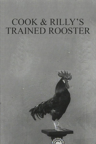 Póster de Le coq dressé de Cook et Rilly