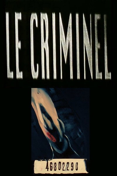 Póster de Le criminel