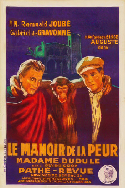 Póster de Le manoir de la peur