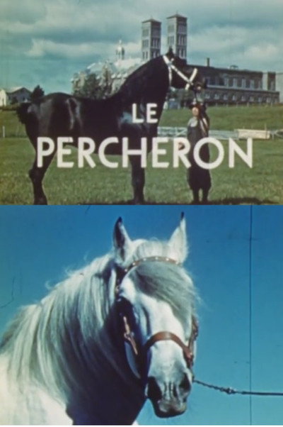 Póster de Le percheron