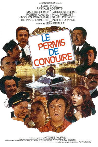 Póster de Le permis de conduire