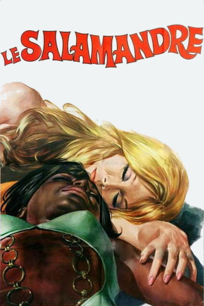 Póster de Le salamandre