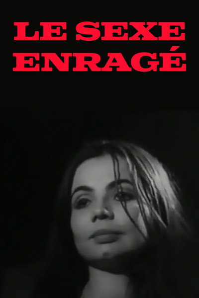 Póster de Le sexe enragé