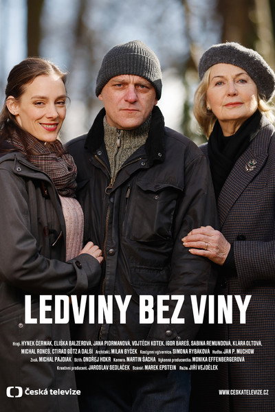 Póster de Ledviny bez viny