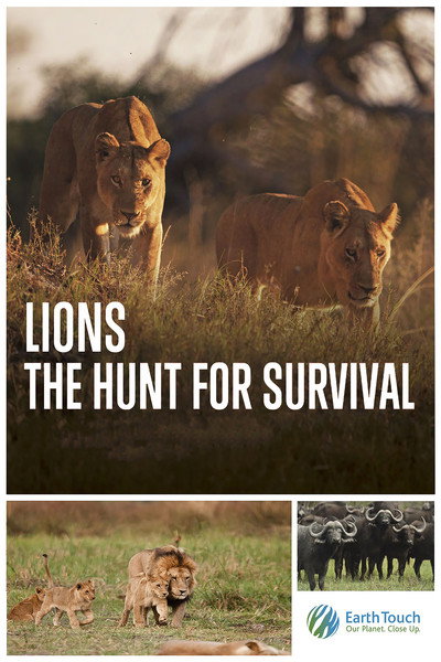 Póster de Leones: La lucha por la supervivencia