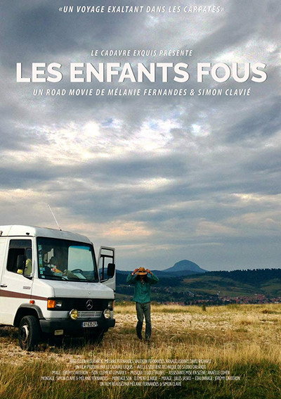 Póster de Les enfants fous
