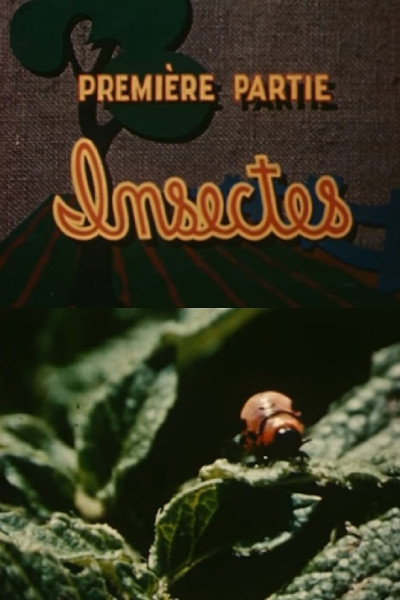 Póster de Les ennemis de la pomme de terre: Insectes