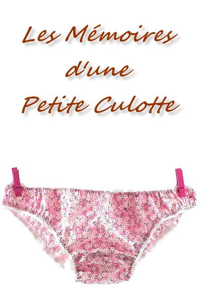 Póster de Les mémoires d'une petite culotte