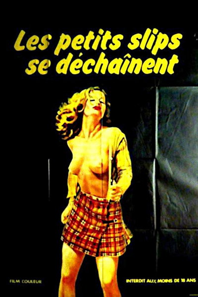 Póster de Les petits slips se déchaînent