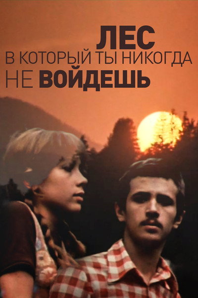 Póster de Les, v kotoryy ty nikogda ne voydesh