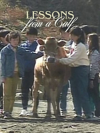 Póster de Lessons from a Calf