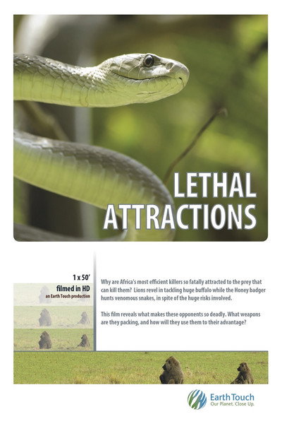 Póster de Lethal Attractions