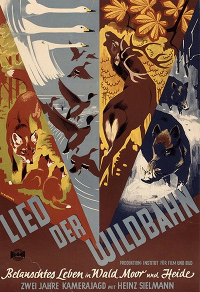 Póster de Lied der Wildbahn (Belauschtes Leben im Wald, Moor und Heide)
