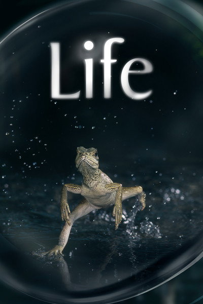 Póster de Life