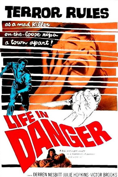 Póster de Life in Danger