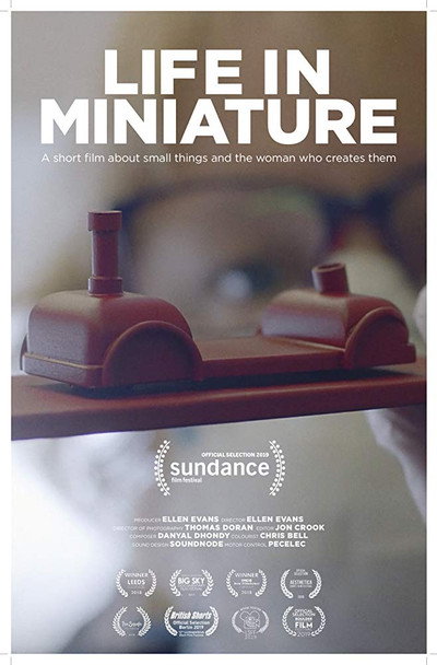 Póster de Life in Miniature