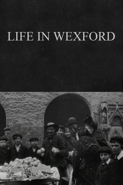 Póster de Life in Wexford