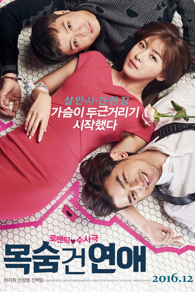 Póster de Life Risking Romance