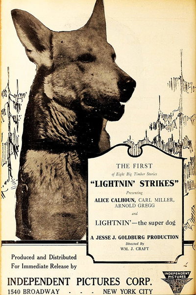 Póster de Lightnin' Strikes
