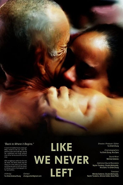 Póster de Like We Never Left