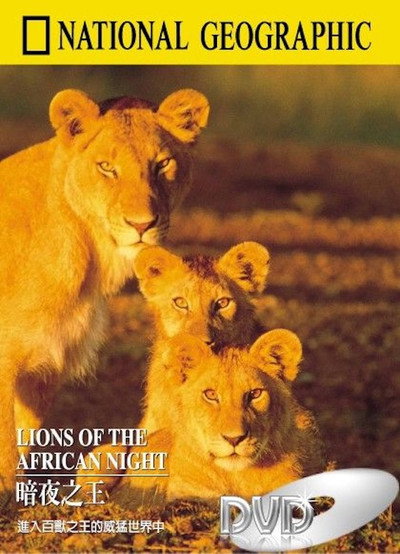 Póster de Lions of the African Night
