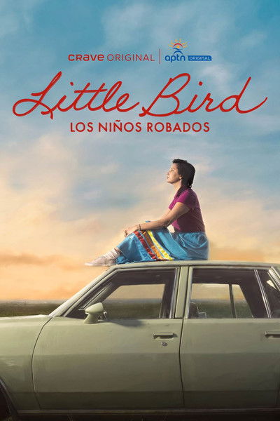 Póster de Little Bird, los niños robados