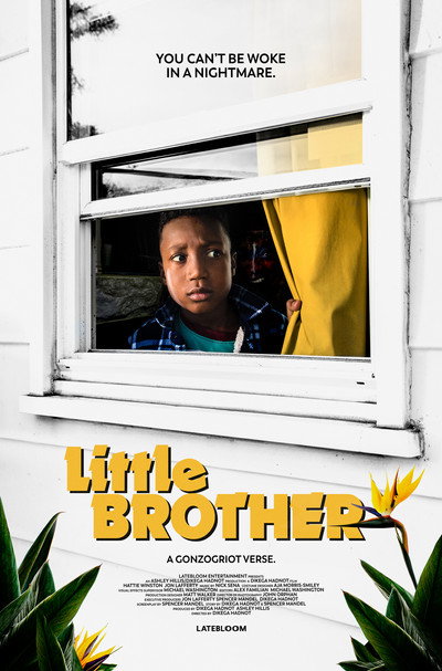 Póster de Little Brother