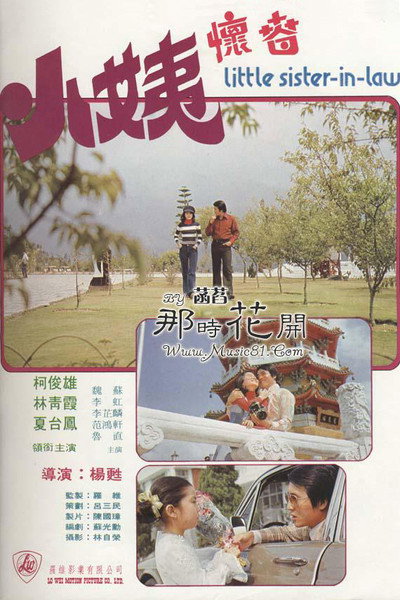Póster de Little Sister-in-law
