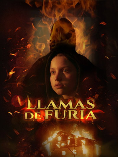 Póster de Llamas de furia